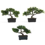 C. Alan 12inch Bonsai Silk Plant Collection -Set of 3 4121